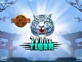 jogos online infantil grátis
